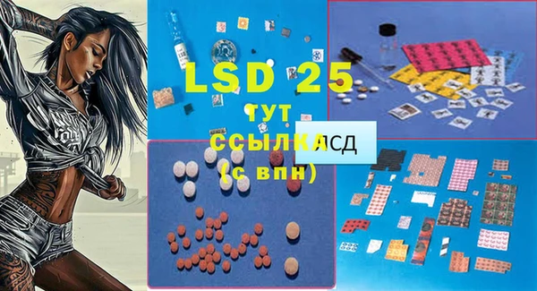 стафф Баксан