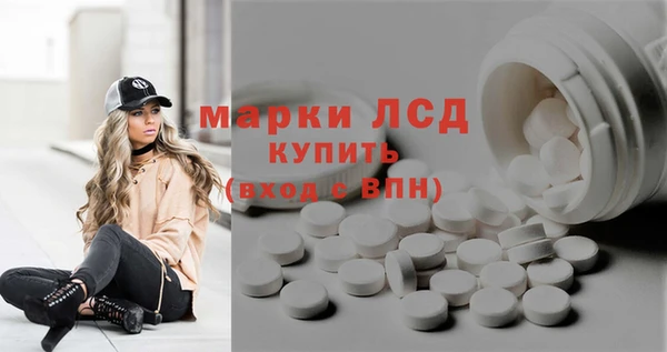 стафф Баксан