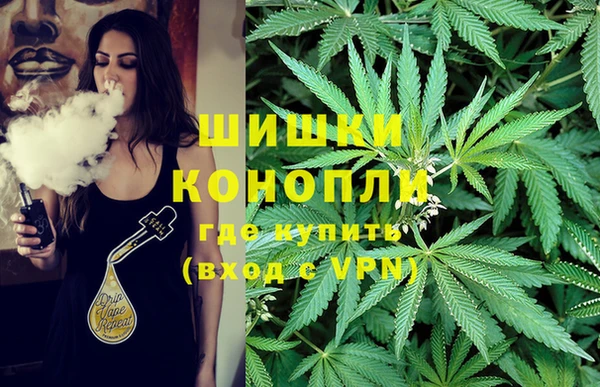 стафф Баксан