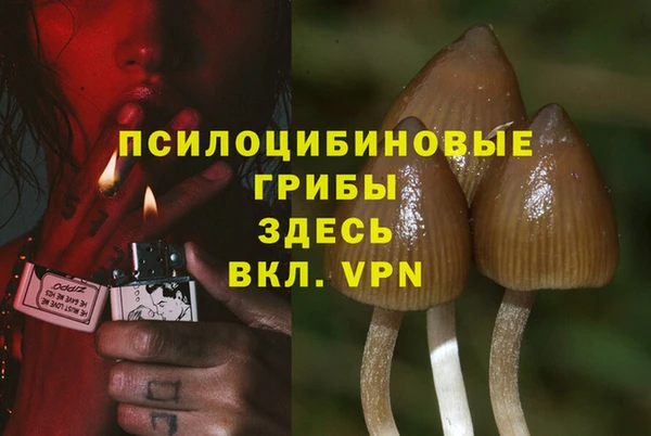 стафф Баксан