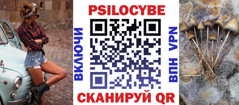 Псилоцибиновые грибы Psilocybe  Купить где  Николаевск-на-Амуре 