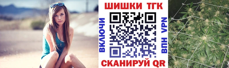 Конопля гибрид Николаевск-на-Амуре